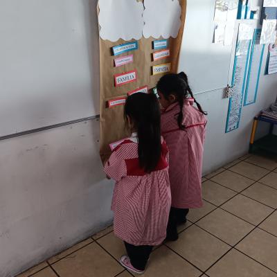 Img 20240502 115247 Min