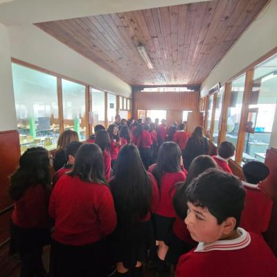 Whatsapp Image 2024 05 30 At 15.04.06 1