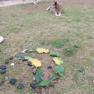 Whatsapp Image 2024 06 13 At 12.23.55