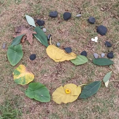 Whatsapp Image 2024 06 13 At 16.45.50