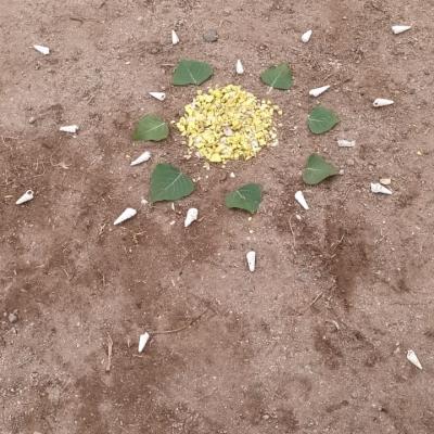 Whatsapp Image 2024 06 13 At 16.45.59