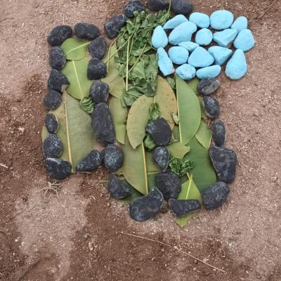 Whatsapp Image 2024 06 13 At 16.46.02 2