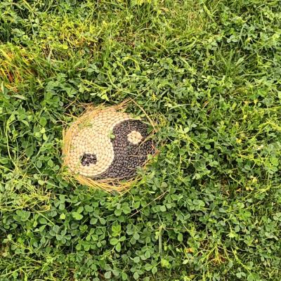 Whatsapp Image 2024 06 13 At 16.46.02