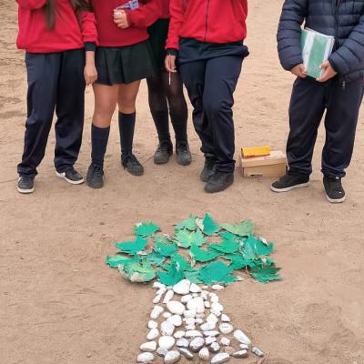 Whatsapp Image 2024 06 13 At 16.46.06