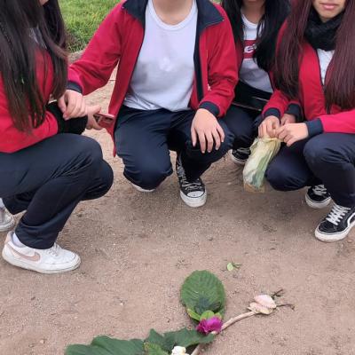 Whatsapp Image 2024 06 13 At 16.46.09 4