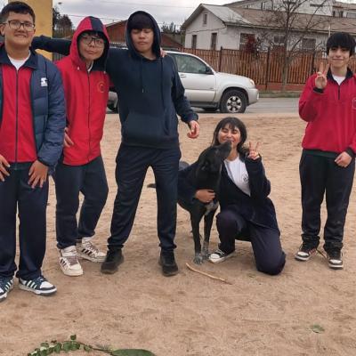 Whatsapp Image 2024 06 13 At 16.46.10 1