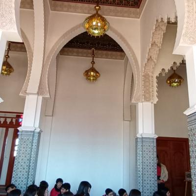 Whatsapp Image 2024 08 09 At 11.23.46