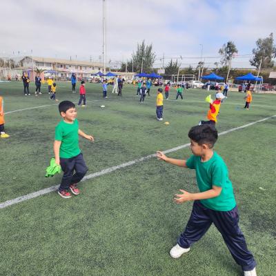 Da Actividad Fsica 1 Ciclo 24