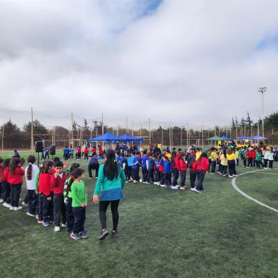 Da Actividad Fsica 1 Ciclo 3