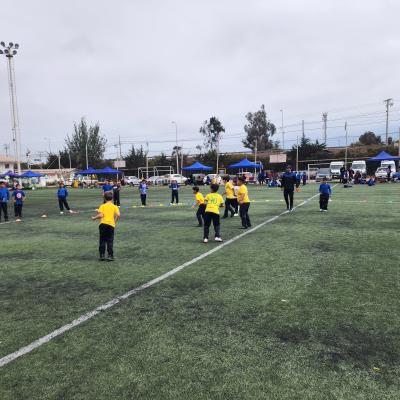 Da Actividad Fsica 1 Ciclo 40