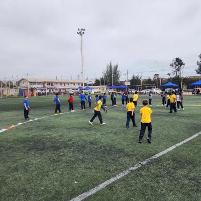 Da Actividad Fsica 1 Ciclo 43