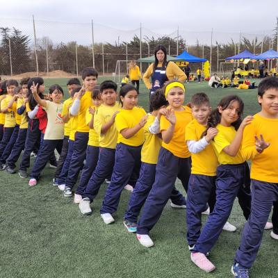 Da Actividad Fsica 1 Ciclo 77