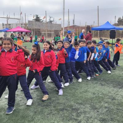 Da Actividad Fsica 1 Ciclo 81