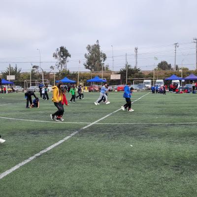 Da Actividad Fsica 1 Ciclo 88