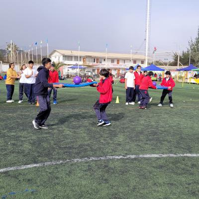 Da Actividad Fsica 2 Ciclo 10