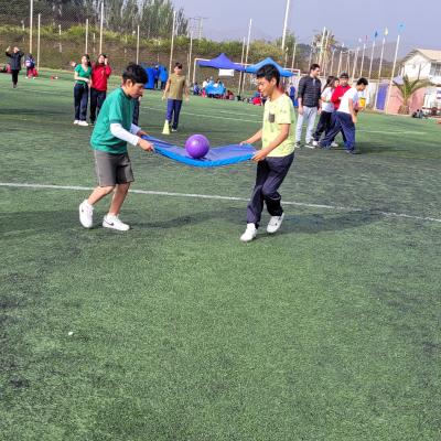 Da Actividad Fsica 2 Ciclo 12