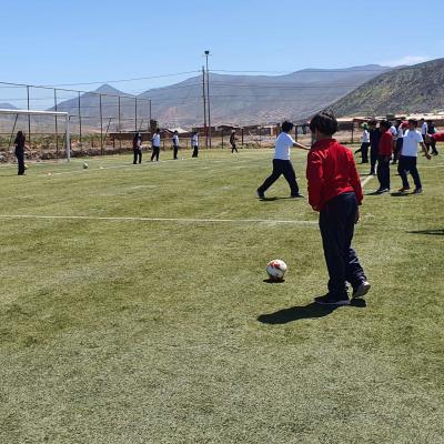 Complejo Los Llanos 1