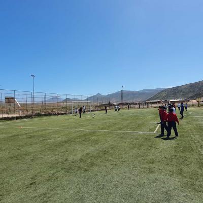 Complejo Los Llanos 2