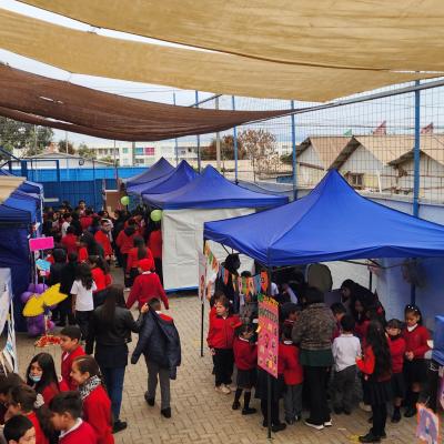 Whatsapp Image 2025 05 05 At 19.18.18