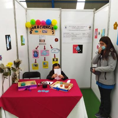 Photo 5125442228645374604 X