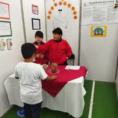 Photo 5125442228645374610 X