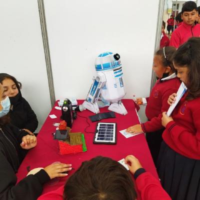 Photo 5125442228645374621 X