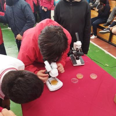 Photo 5125442228645374640 X