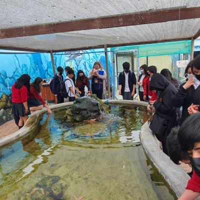 Whatsapp Image 2022 12 20 At 11.48.59 1