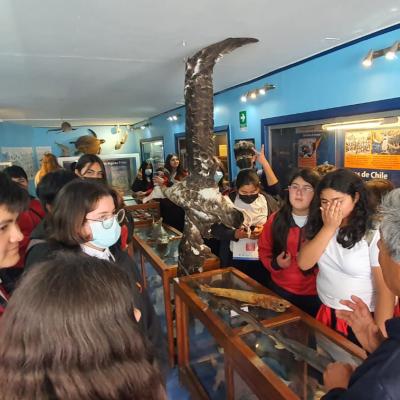 Whatsapp Image 2022 12 20 At 11.48.59