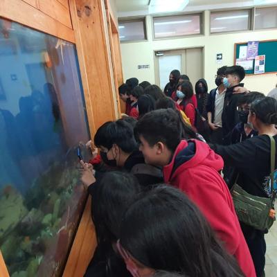 Whatsapp Image 2022 12 20 At 11.49.00 1