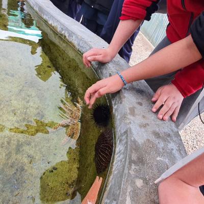 Whatsapp Image 2022 12 20 At 11.49.00