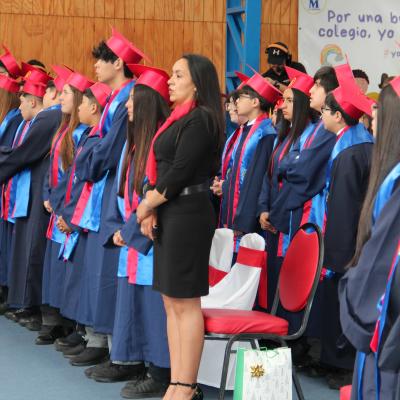 Licenciatura 8 Basico 2025 60
