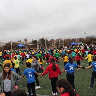 1 Ciclo Dia Actividad Fisica 26