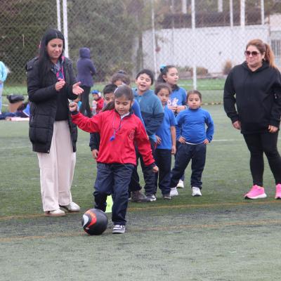 1 Ciclo Dia Actividad Fisica 36