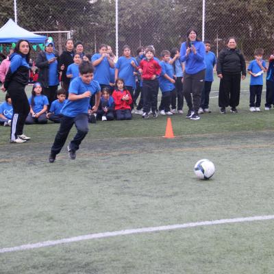 1 Ciclo Dia Actividad Fisica 43