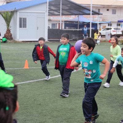 1 Ciclo Dia Actividad Fisica 45