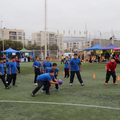 1 Ciclo Dia Actividad Fisica 48