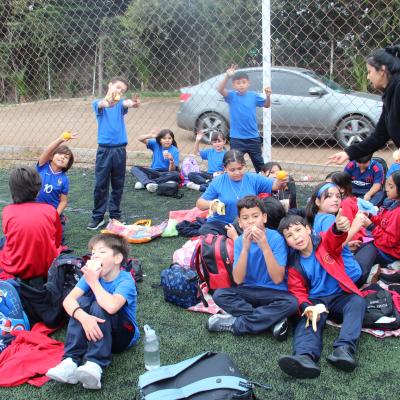 1 Ciclo Dia Actividad Fisica 8