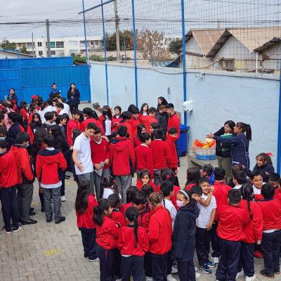 Whatsapp Image 2023 04 13 At 20.38.16