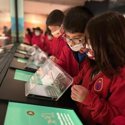 Whatsapp Image 2023 06 22 At 11.46.50