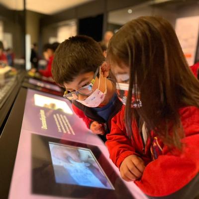 Whatsapp Image 2023 06 22 At 11.46.51