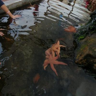 Whatsapp Image 2023 07 21 At 09.47.58