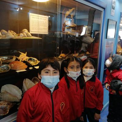 Whatsapp Image 2023 07 21 At 09.48.03