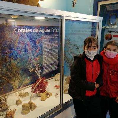 Whatsapp Image 2023 07 21 At 09.48.05