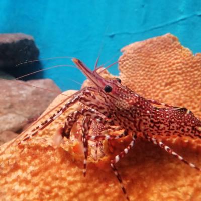 Whatsapp Image 2023 07 21 At 09.48.08