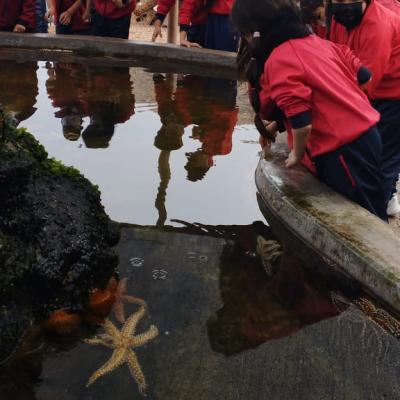 Whatsapp Image 2023 07 24 At 14.49.51 1