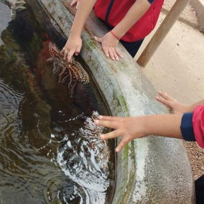 Whatsapp Image 2023 07 24 At 14.49.51