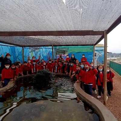 Whatsapp Image 2023 07 24 At 15.34.55