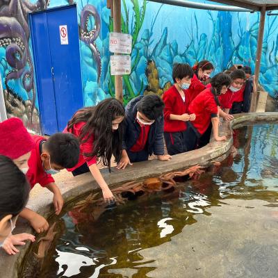 Whatsapp Image 2023 07 24 At 15.34.56 1