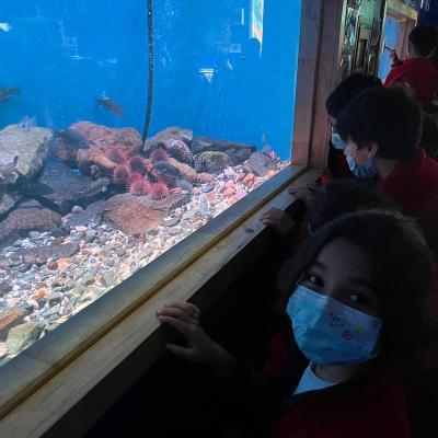 Whatsapp Image 2023 07 24 At 15.34.56 3